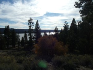 Big Bear Woodland Trail