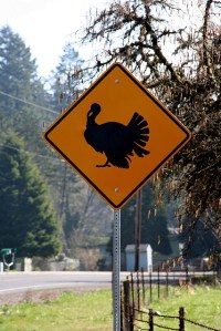 Turkey crossing sign