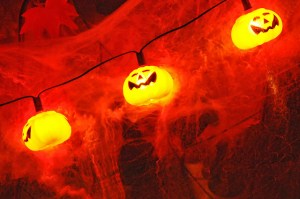 Jack o'lantern lights 