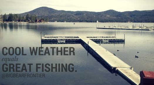 BIG BEAR THANKSGIVING