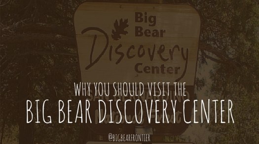 big bear discovery center