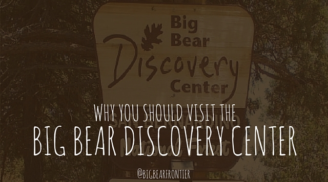 big bear discovery center