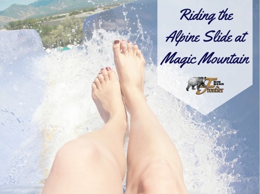 alpine slide at big bear