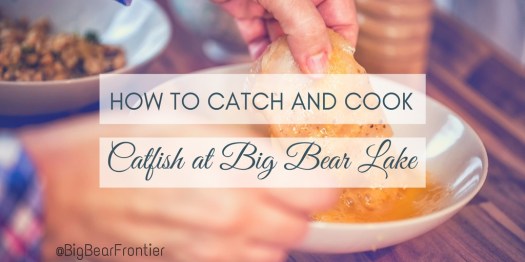 Big Bear Lake Catfish