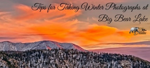 photographing nature in winter